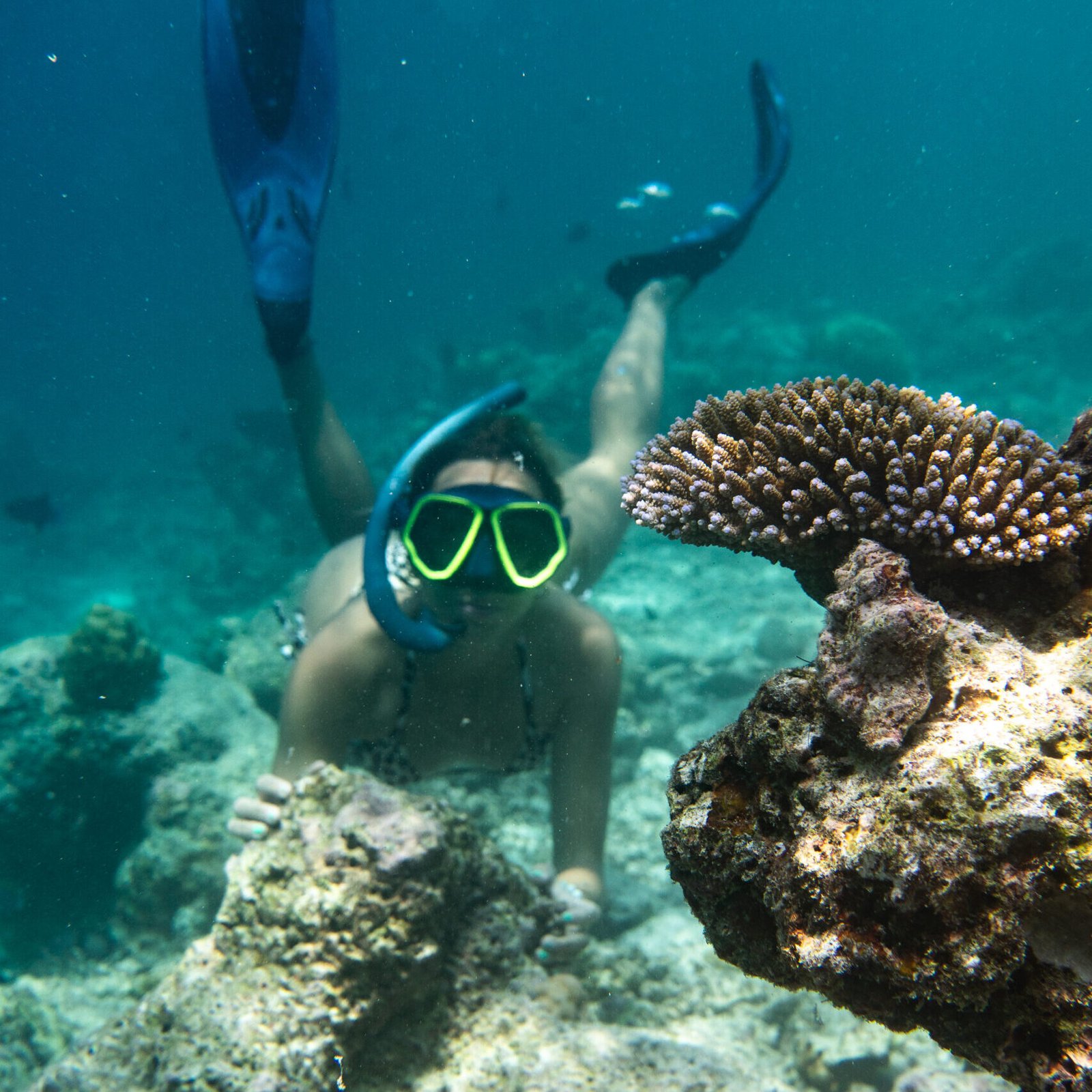 buceo-coral-maldivas